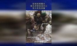 乌俄冲突爆料视频,揭秘爆料视频背后的真相